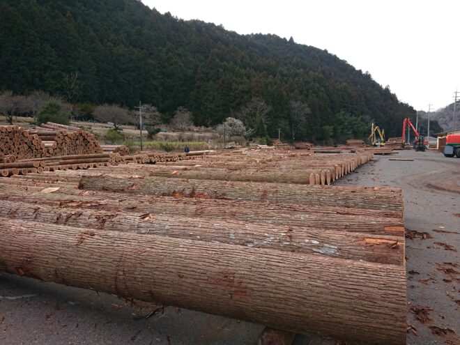 3月7日奈良の木祭り杉入荷状況