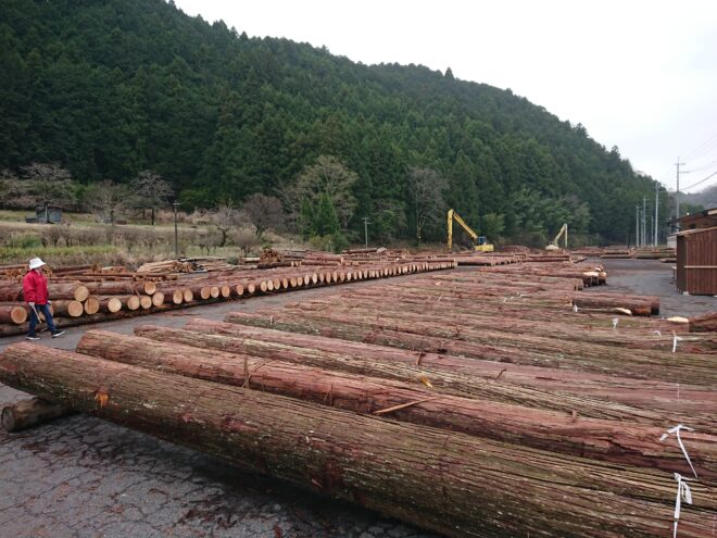 3月29日奈良の木祭り桧入荷状況