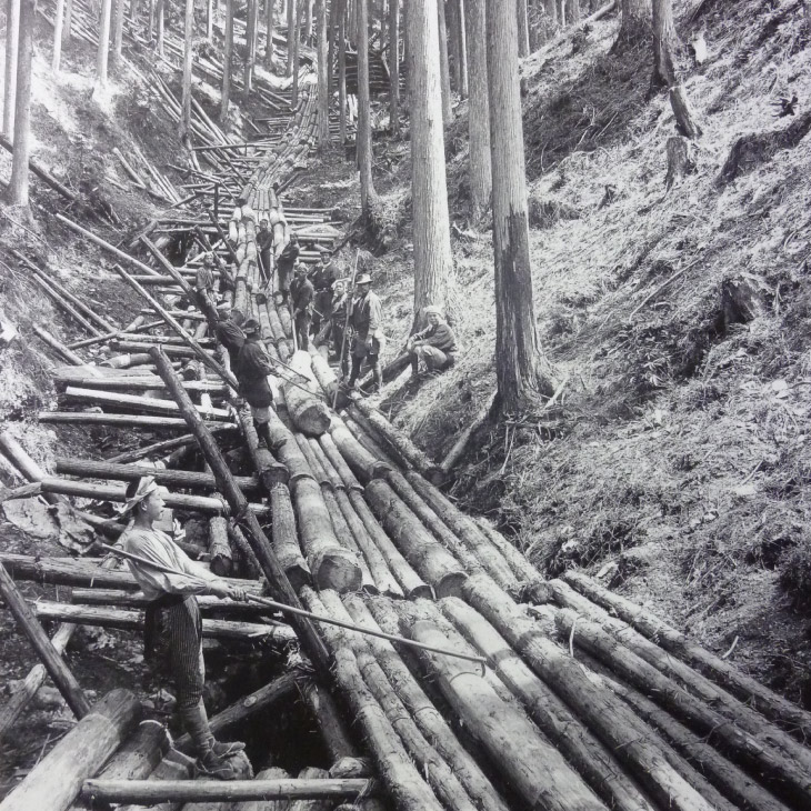 林業の歴史