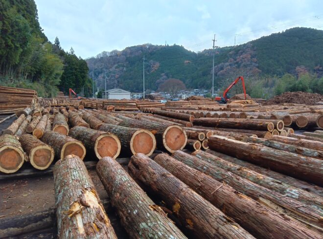 １２月１６日納市杉入荷状況