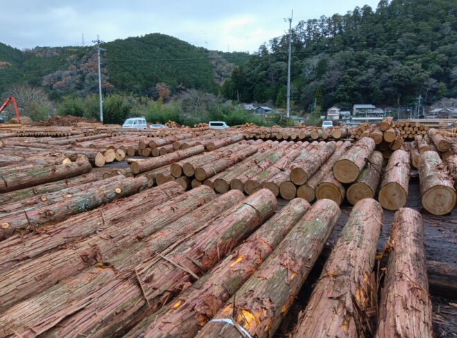 １２月１６日納市桧入荷状況