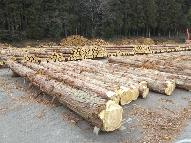 2月3日市 桧入荷状況