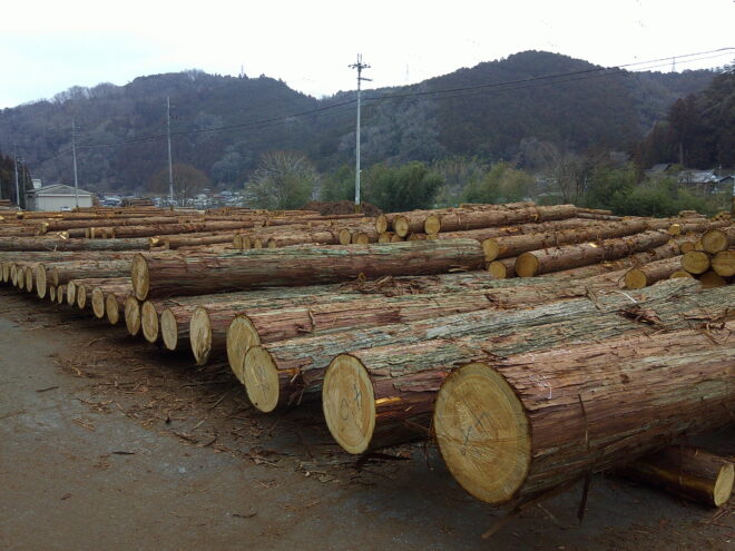 2月17日市 桧入荷状況